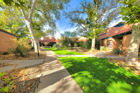 Pathway in the middle of houses in a subdivision at Tucson, Arizona. Pathway connected to the houses' entrances with green lawn and trees.の写真素材