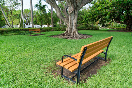 Two wooden bench on a grass field under the tree at Miami, Florida. There is a garden bench at the front facing the other bench near the bushes at the back.の写真素材