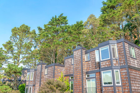 Apartment building exterior with wood shingle sidings, balconies and bay windows. Residences in San Francisco, California with trees at the background.の写真素材