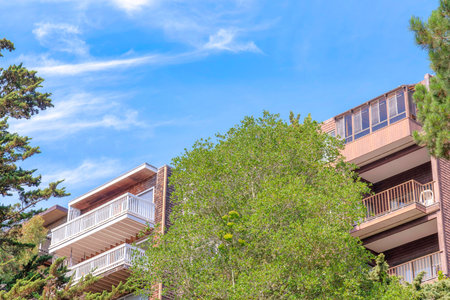 Trees at the front of a multi-storey apartment buildings with balconies in San Francisco,...