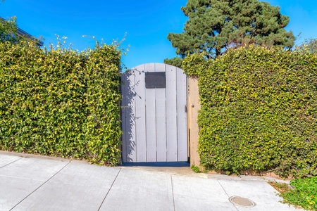 Painted arched wood gate in the middle of shrub walls in San Francisco, California. Gray arched wood...