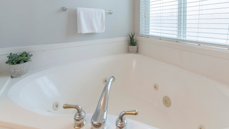 Panorama Corner bathtub with potted plants and widespread faucet on deck. Interior of a bathroom...
