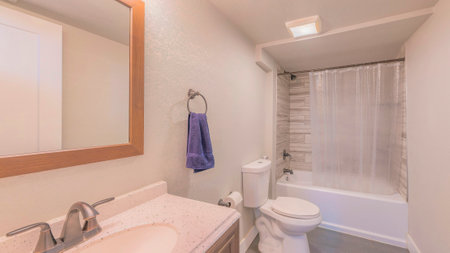 Panorama Bathroom interior with gray tile flooring and vanity with granite top and framed mirror. There is a toilet bowl near the bathtub with wood patterned tiles surround and plastic shower curtain.の写真素材