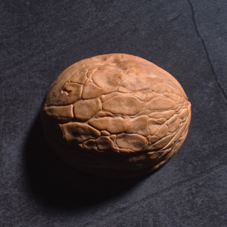 Healthy food concept, fresh nuts on the table Stylish closeup of walnuts.の写真素材