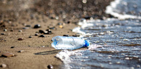 Bottle plastic on stone ground show long life garbage