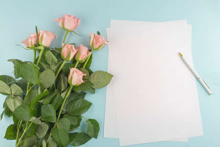 Pink roses and paper for text on blue background, copy spaceの写真素材