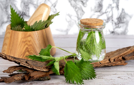 Glass bottle water of nettle with fresh nettle on a wooden mortar , wooden backgroundの写真素材