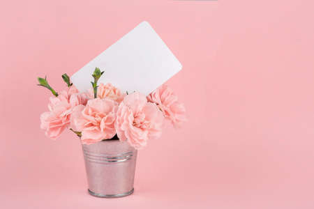 Beautiful pink carnations on bucket with card , pink background. copy spaceの写真素材