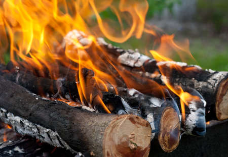 Big bonfire outdoors. Close-up. Campfire, firewood, picnic