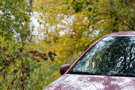 Red car stay on beautiful autumn forest backgroundの写真素材