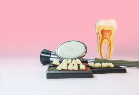 Denture material,stethoscope and model tooth on a table isolated.の写真素材