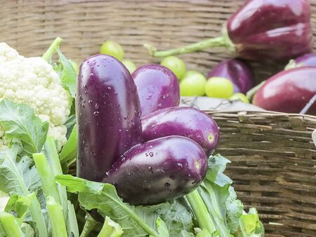 Attatched forever. Two Brinjals due to developmental error attatched together forever are kept in the selling busket.In India these type of fruits or vegetable are not bought by customers due to some false believes -unlucky etc.の写真素材
