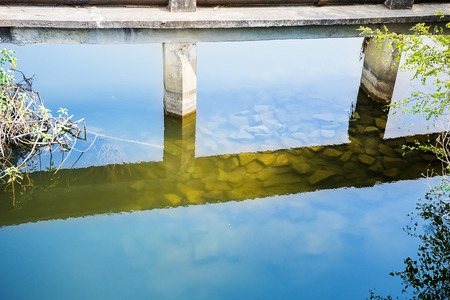 Landscape Scene of wetland,marsh,stream or river bed with green Grasses Grown and some big trees like palm tree etc.details of Mother Earth - Nature.の写真素材