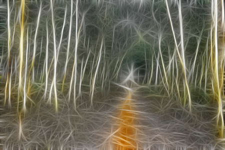 Landscape picture of forest not very dens and man made planted, not natural but  trying to preserve our mother nature. Bankura , India, Asia. December 2020.の写真素材