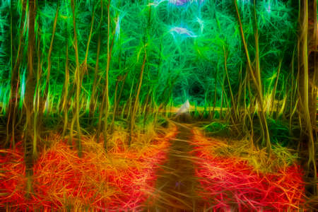 Landscape picture of forest not very dens and man made planted, not natural but  trying to preserve our mother nature. Bankura , India, Asia. December 2020.の写真素材