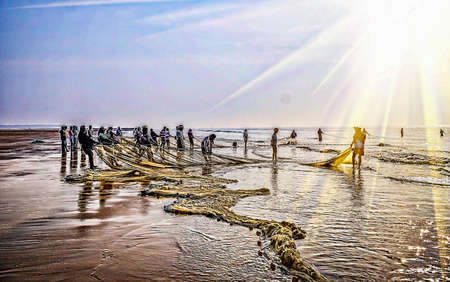 Fishermen cathing fish in early morning time after whole night fight coming shore back to home from the oumb of ocean everyday life style and fight of life for the livings.Digha India. Asia. 2018.の写真素材