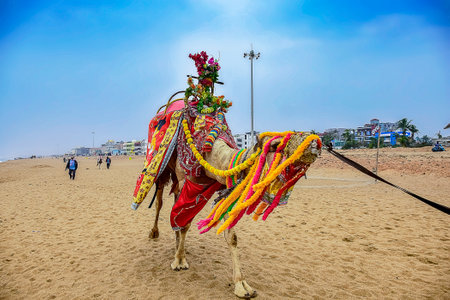 People lifeatyle seen on  Travelling and tour to the seashore and Beach by the Bay of Bengal of...