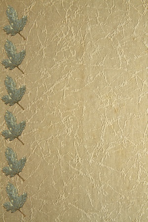 Metallic grape leaves on old paper grung backgroundの写真素材