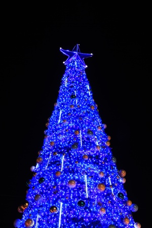 Christmas tree shining with lights の写真素材