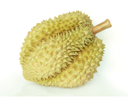 Durian friut isolated on white background の写真素材