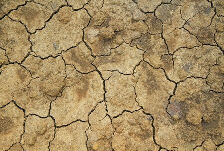 Closeup image of dry soil