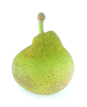 Green jackfruit isolated on white background 
