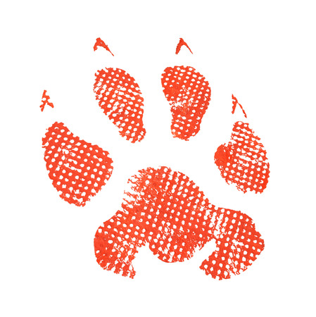 Animal footprint isolated on white background の写真素材