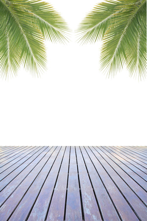 Green coconut leaves frame over wooden floorの写真素材