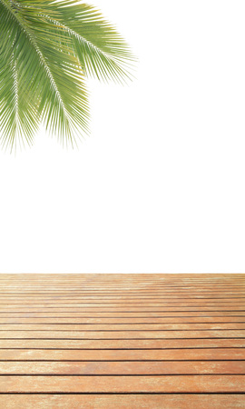 Green coconut leaves frame over wooden floor isolatedの写真素材
