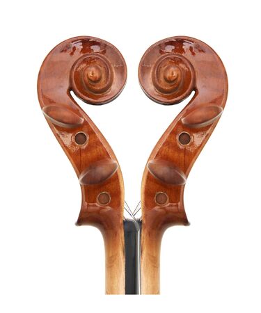 Violin peg and scroll, isolated on white background.