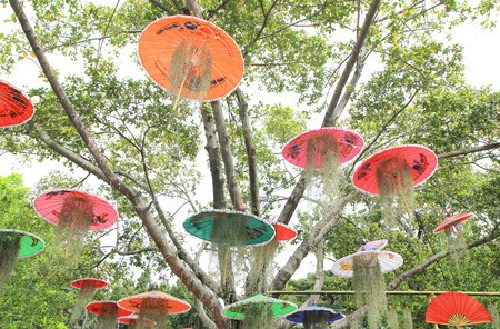 Colorful umbrellas decorated on the tree in gardenの写真素材
