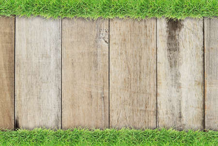 Green grass border on natural wood backgroundの写真素材