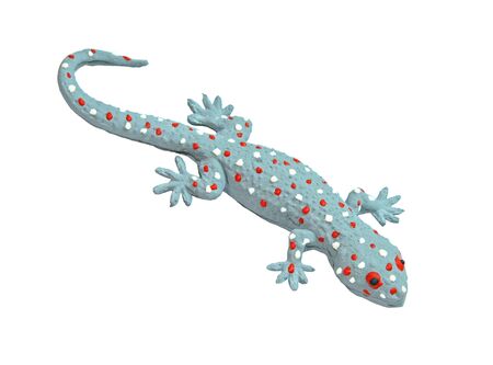 Gecko toy isolated on white backgroundの写真素材