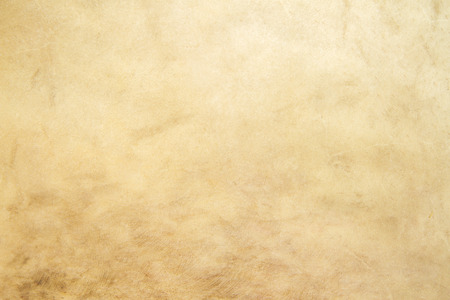Natural leather texture background.の写真素材