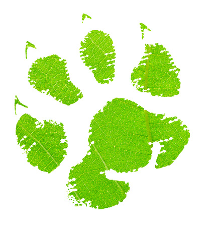 Green animal footprint with green leaf textureの写真素材