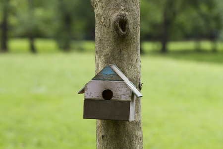 Bird house nesting-box hang on tree trunk