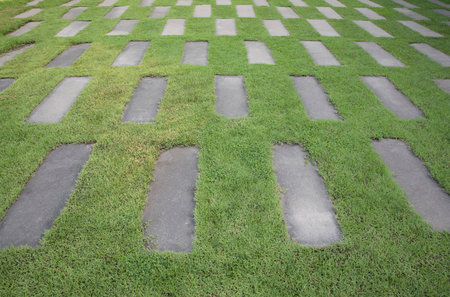 The Cement tiles between green grass background. Green grass and cement pavement.の写真素材