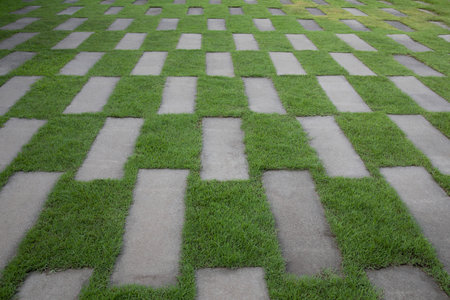 The Cement tiles between green grass background. Green grass and cement pavement.の写真素材