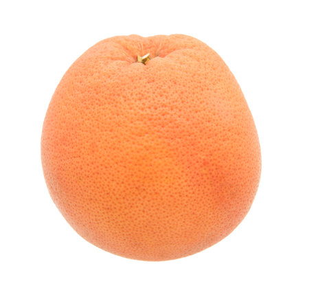 Grapefruit isolated on white backgroundの写真素材