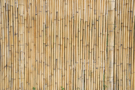 Bamboo plank fence texture for naturel backgroundの写真素材