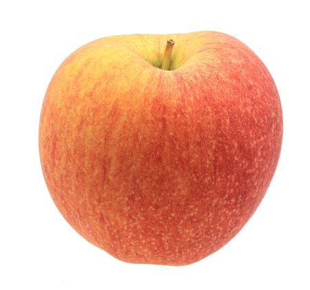 Red apple fruit isolated on white backgroundの写真素材