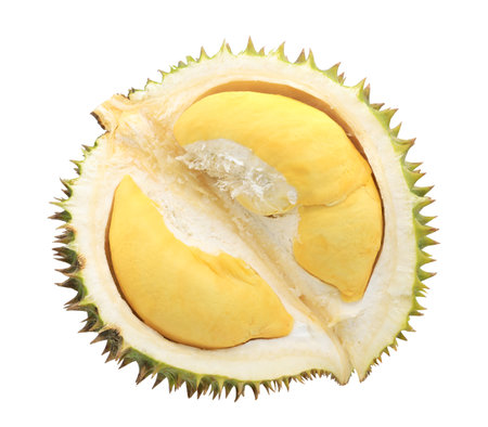 Durian fruit cut in half isolated on white background.の写真素材