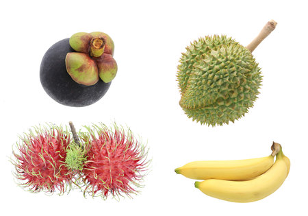 Tropical fruit isolated on white backgroundの写真素材