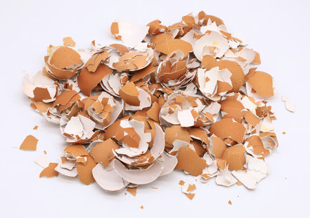 Cracked eggshell pile isolated on white background., Crushed egg shells.の写真素材