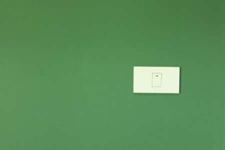 White switch installed on green wallの写真素材
