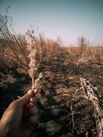 Amazing world in my handsの写真素材