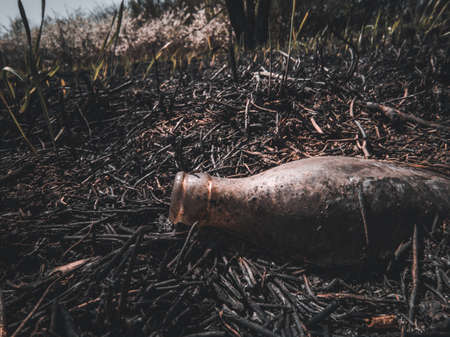 Fire is our friend and enemy, it is merciless to all living things.の写真素材