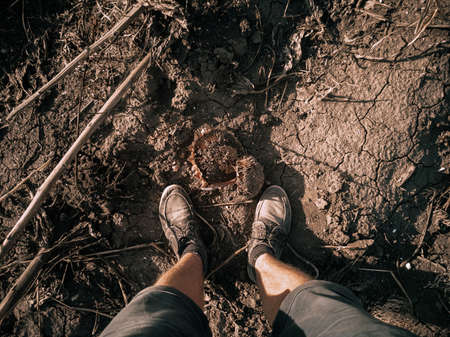 Even in the most ordinary things there is something catchy, mesmerizing. Angle, moment and fantasy will make a beautiful frame out of ordinary things!の写真素材