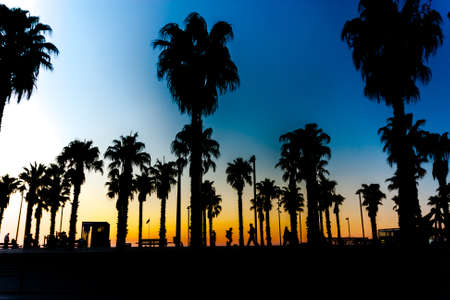 Silhouettes of palm trees against a beautiful sunset with people walking.