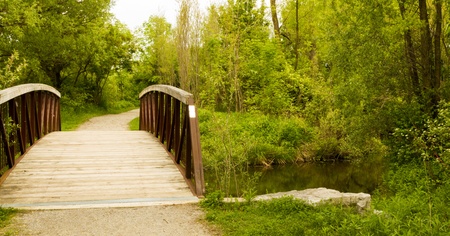 Wooden Bridge with smooth pathの写真素材